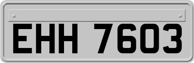 EHH7603