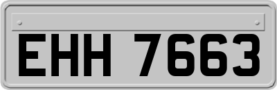 EHH7663