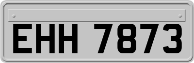 EHH7873