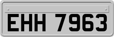 EHH7963