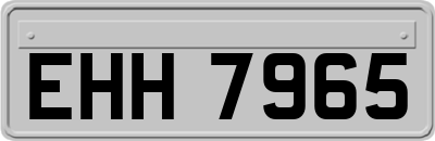 EHH7965