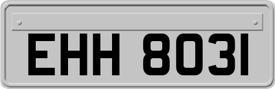 EHH8031