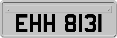 EHH8131