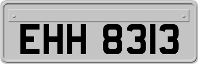 EHH8313