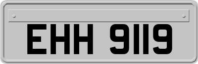 EHH9119