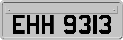 EHH9313