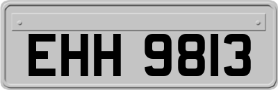 EHH9813
