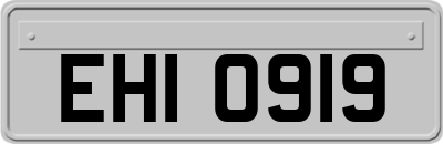 EHI0919
