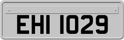 EHI1029