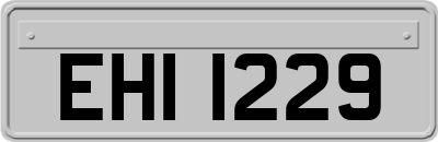 EHI1229