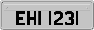 EHI1231