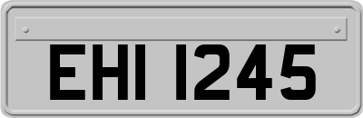 EHI1245