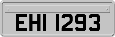 EHI1293