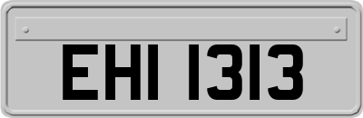 EHI1313