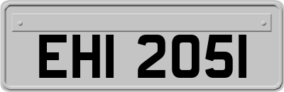 EHI2051