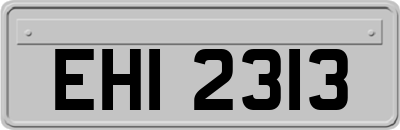 EHI2313