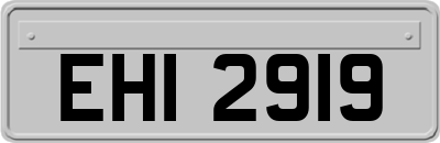 EHI2919