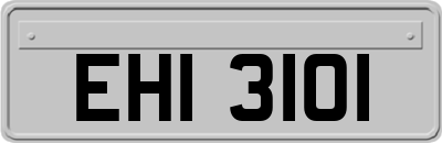 EHI3101