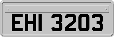 EHI3203