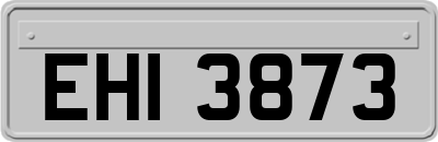 EHI3873
