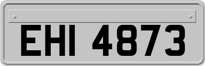 EHI4873