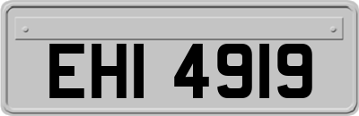 EHI4919