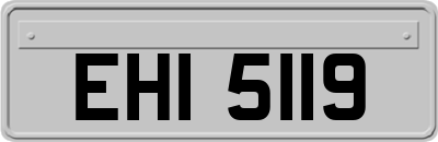 EHI5119