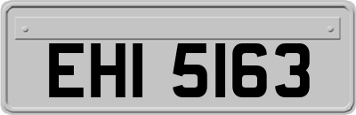 EHI5163