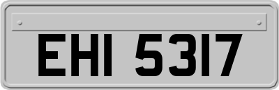 EHI5317