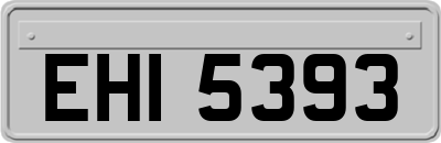 EHI5393