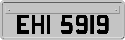 EHI5919