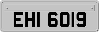 EHI6019