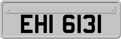 EHI6131