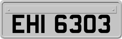 EHI6303