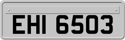 EHI6503