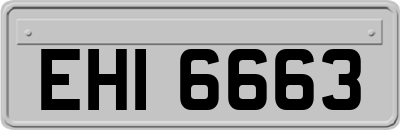 EHI6663