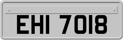 EHI7018