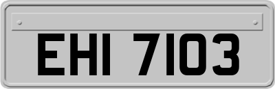 EHI7103