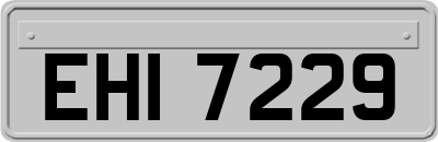 EHI7229