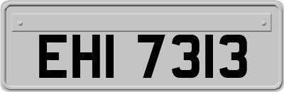 EHI7313