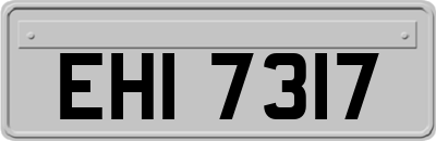 EHI7317