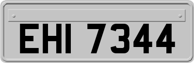 EHI7344