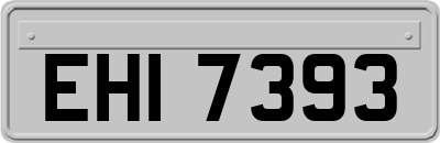 EHI7393