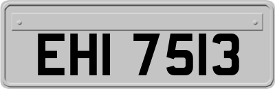 EHI7513