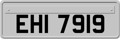 EHI7919