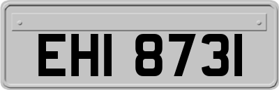 EHI8731
