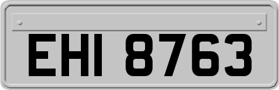 EHI8763