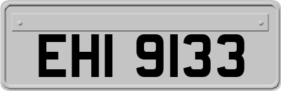 EHI9133