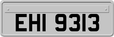 EHI9313