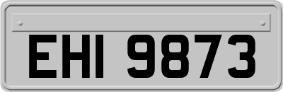 EHI9873